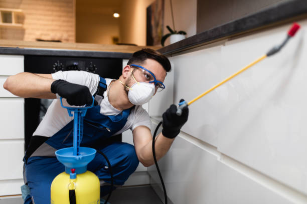 Best Affordable Pest Control Services  in Elm Springs, AR