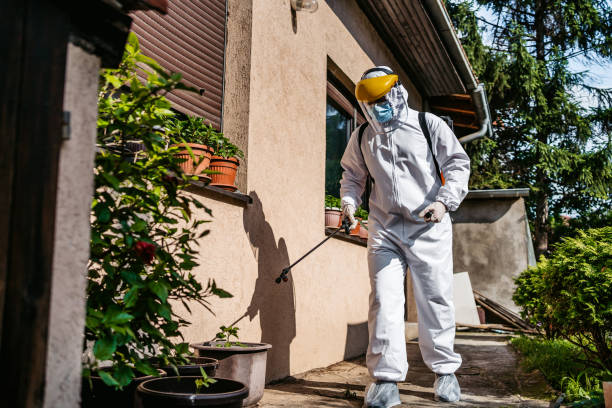 Pest Control Cost in Elm Springs, AR