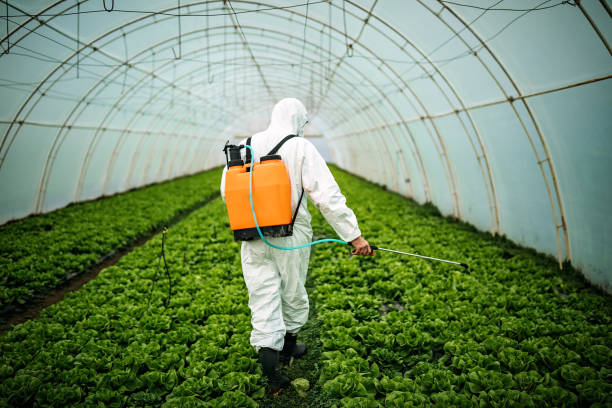 Best Best Pest Control Companies  in Elm Springs, AR